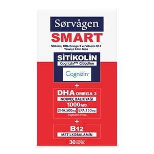 Sorvagen Smart Sitikolin DHA Omega 3 ve B12 Takviye Edici Gıda